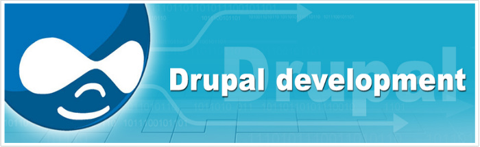 drupal web design lansing